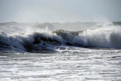 Прикрепленное изображение: 111IMGP4101.jpg